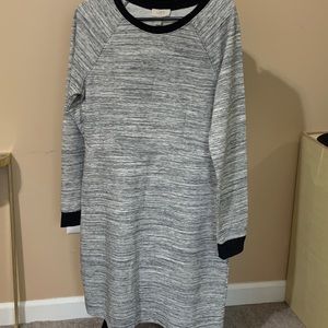 Ann Taylor Loft Casual Dress